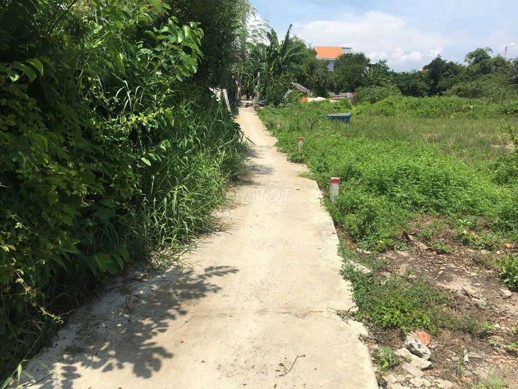 Cần Bán Gấp Đất Cần Giuộc trong 2 ngày