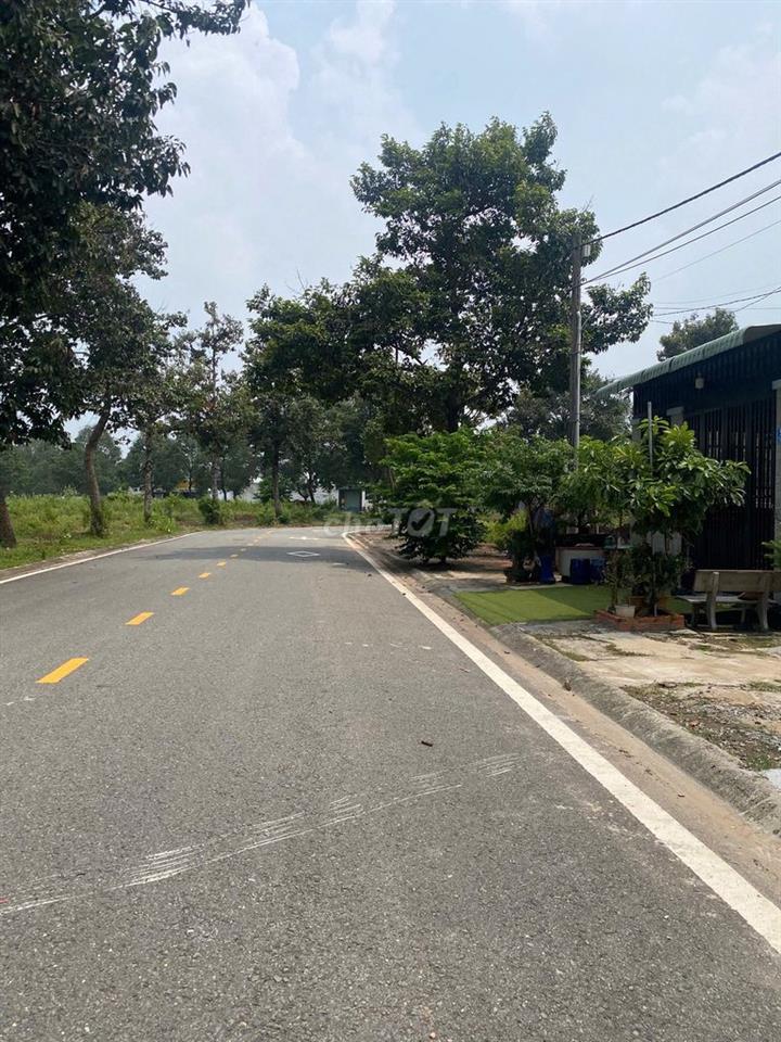 Mặt tiền Đường số 81, KDC Becamex Phú Chánh C, BD. 100m2 (5x20) 3,8T
