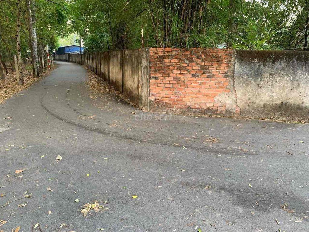 BÁN ĐẤT ĐX066 THỦ DẦU MỘT