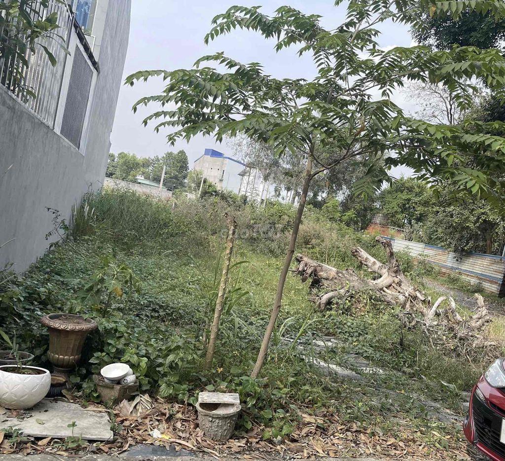 BÁN ĐẤT ĐX066 THỦ DẦU MỘT