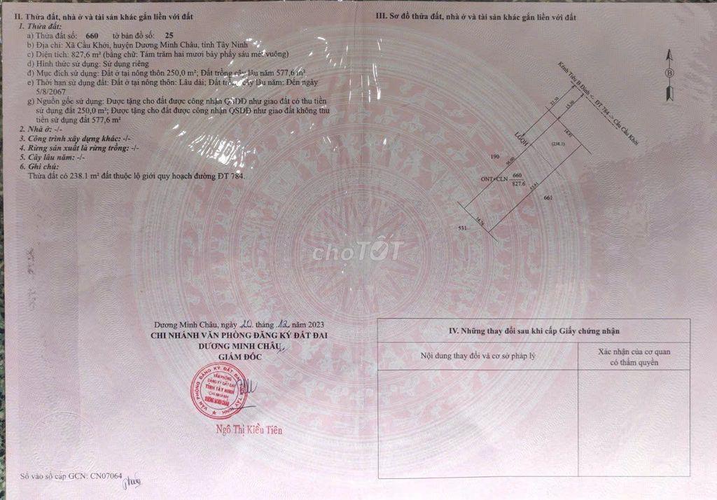 CHÍNH CHỦ BÁN NHÀ ĐẤT MẶT TIỀN ĐT784 – CẦU KHỞI, TÂY NINH