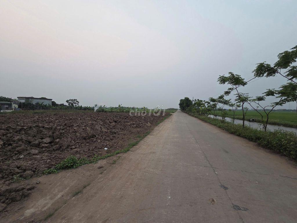Bán đất 150m2 tại Khánh Hội, Yên Khánh, Ninh Bình, chính chủ hàng hiếm