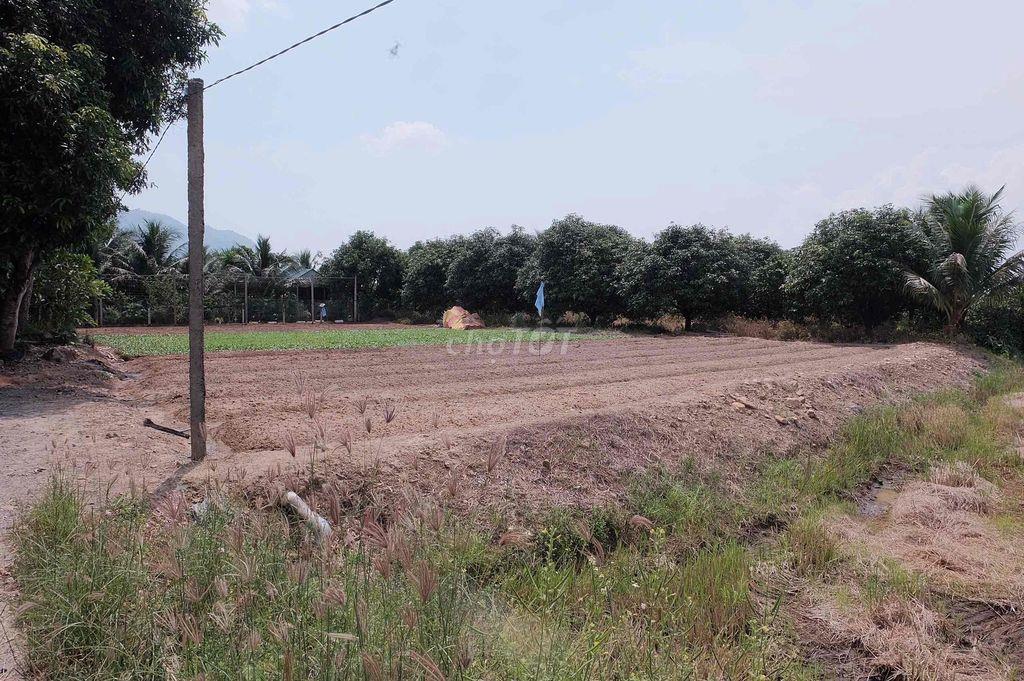 bán đất chính chủ