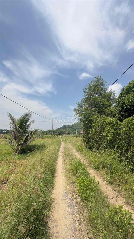 bán đất chính chủ