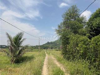 bán đất chính chủ