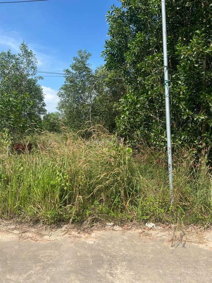 Đất gần khu du lịch núi Chứa Chang