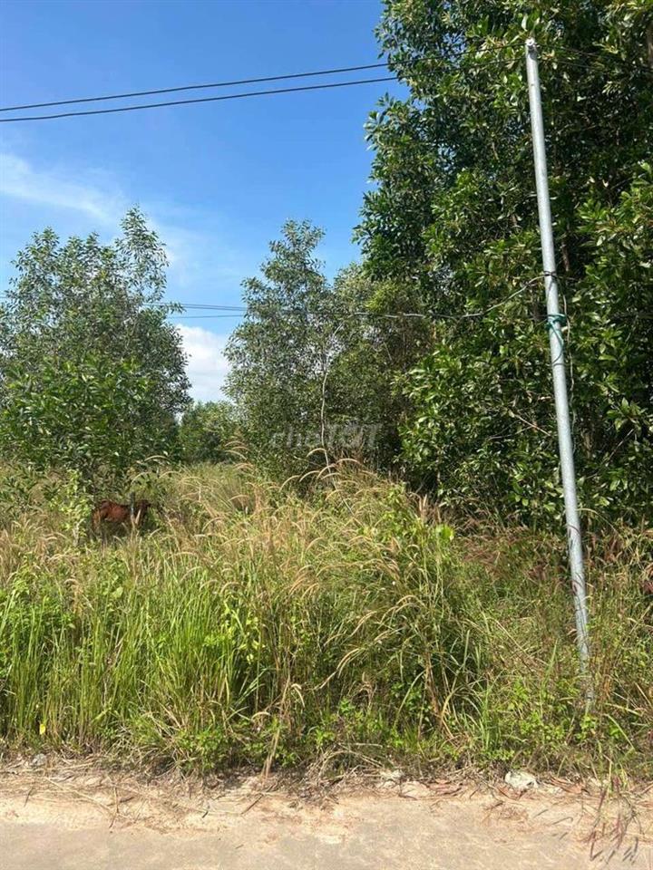 Đất gần khu du lịch núi Chứa Chang