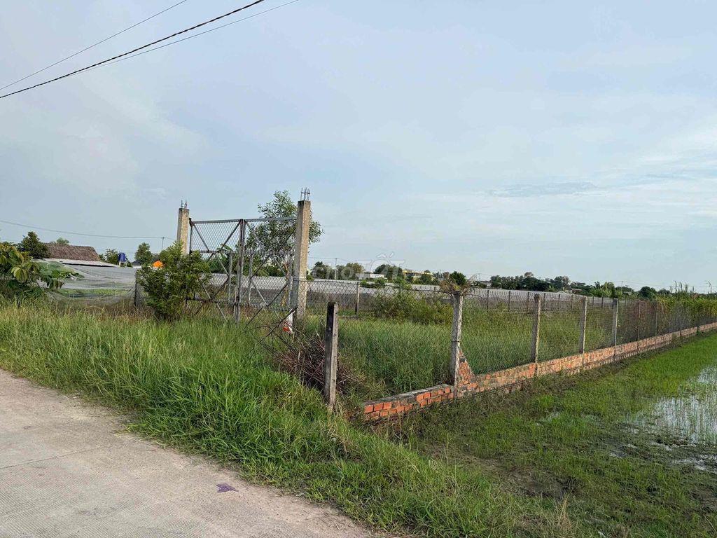 Bán đất full thổ cư 365 m2
