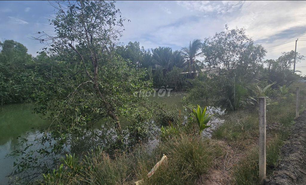 BÁN ĐẤT SINH THÁI 1.600m² Có 510m² THỔ CƯ TẠI AN THỚI ĐÔNG, CẦN GIỜ
