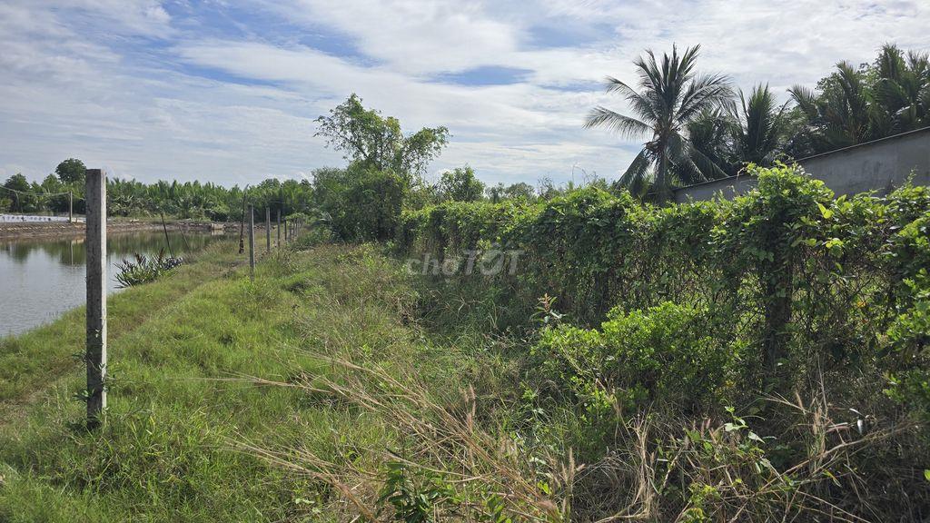BÁN ĐẤT SINH THÁI 1.600m² Có 510m² THỔ CƯ TẠI AN THỚI ĐÔNG, CẦN GIỜ