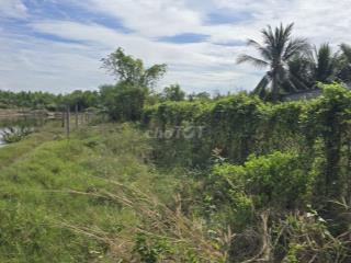 BÁN ĐẤT SINH THÁI 1.600m² Có 510m² THỔ CƯ TẠI AN THỚI ĐÔNG, CẦN GIỜ
