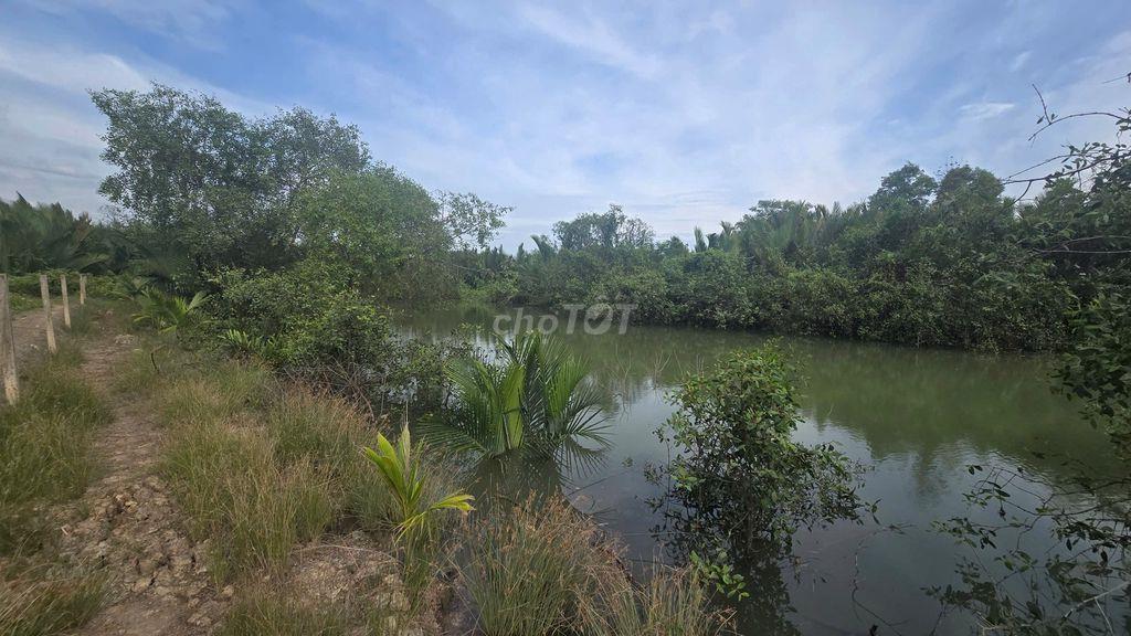 BÁN ĐẤT SINH THÁI 1.600m² Có 510m² THỔ CƯ TẠI AN THỚI ĐÔNG, CẦN GIỜ