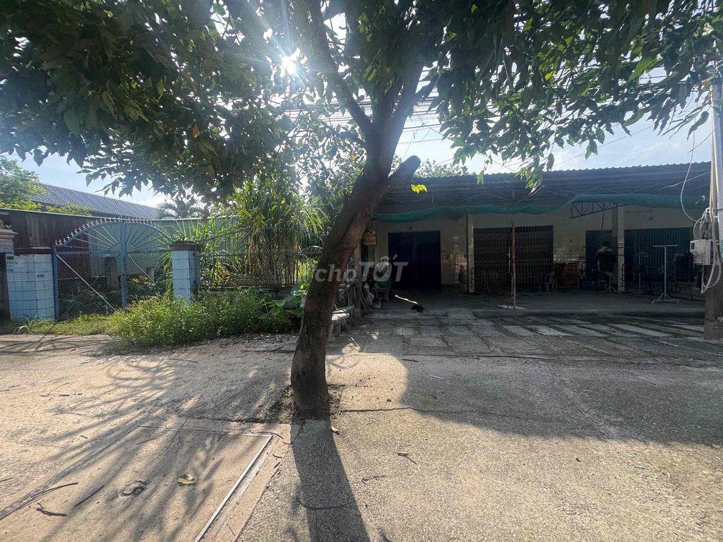 1,5ha Mặt Tiền Quốc Lộ 13 Lai Hưng , Bàu Bàng giá 2tr/m2.