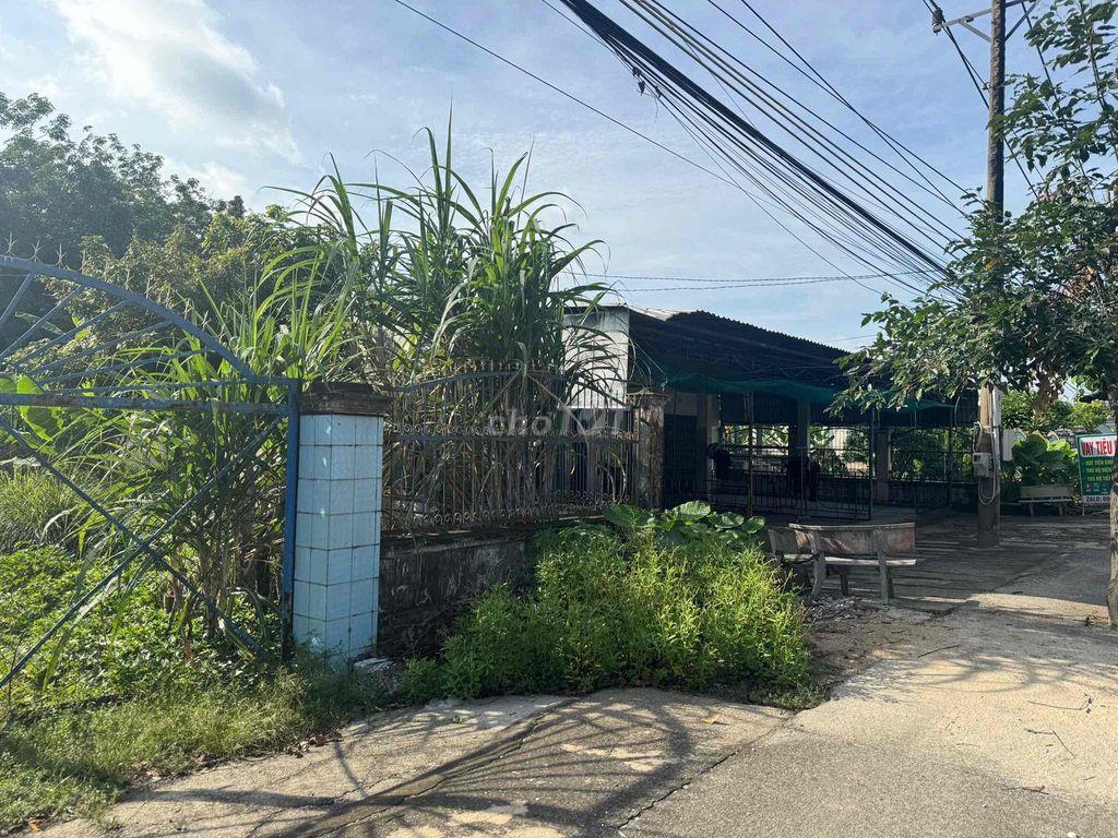 1,5ha Mặt Tiền Quốc Lộ 13 Lai Hưng , Bàu Bàng giá 2tr/m2.