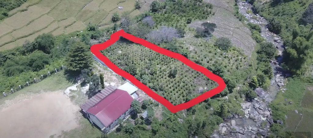 BÁN ĐẤT TRỒNG CÂY ĐẠ LONG LÂM ĐỒNG CHÍNH CHỦ
