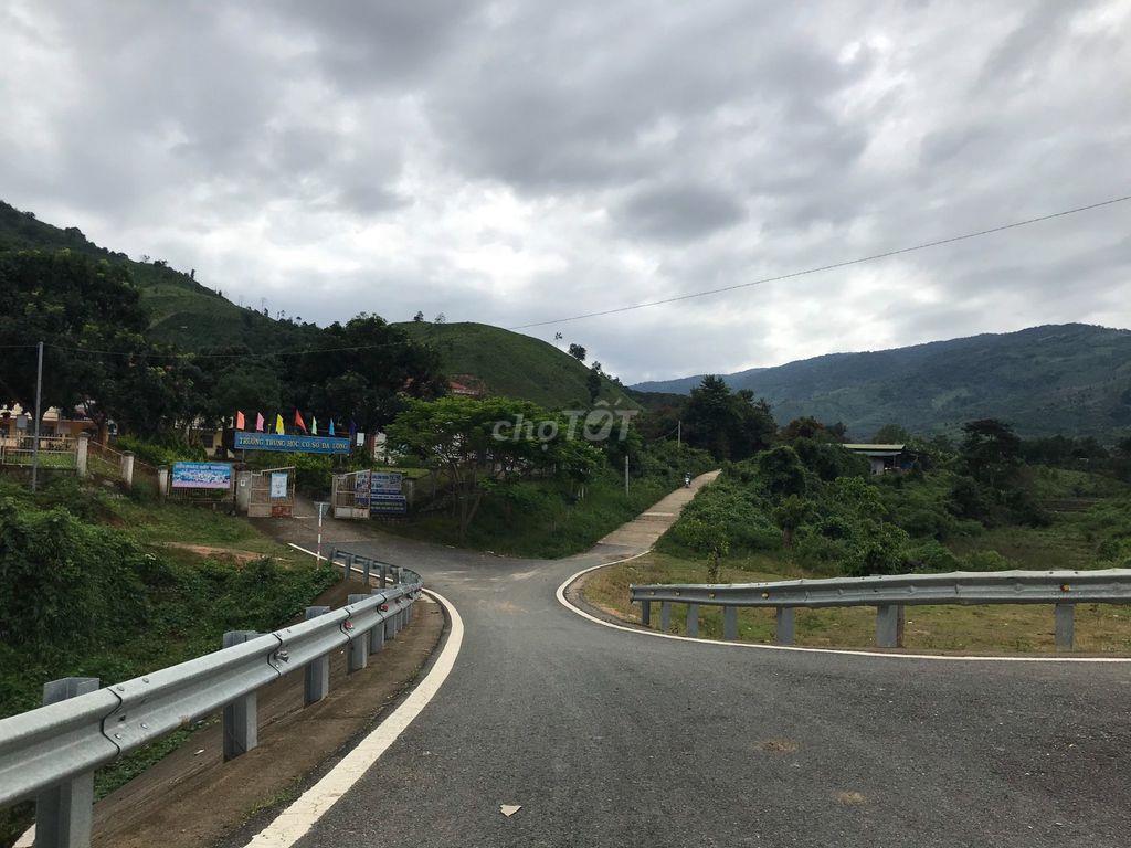 BÁN ĐẤT TRỒNG CÂY ĐẠ LONG LÂM ĐỒNG CHÍNH CHỦ