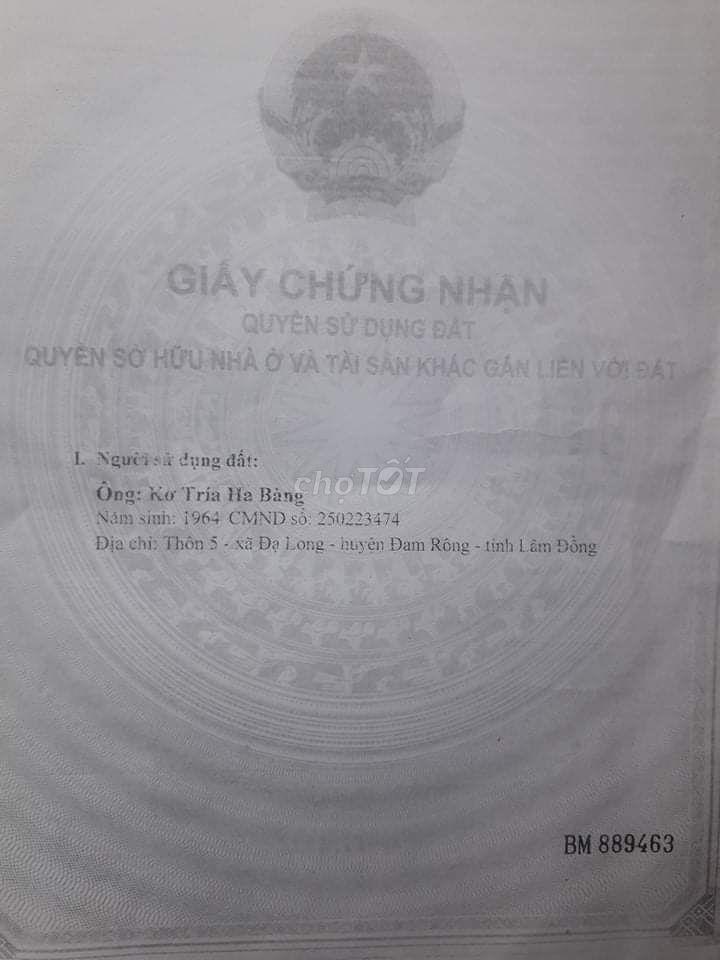 BÁN ĐẤT TRỒNG CÂY ĐẠ LONG LÂM ĐỒNG CHÍNH CHỦ