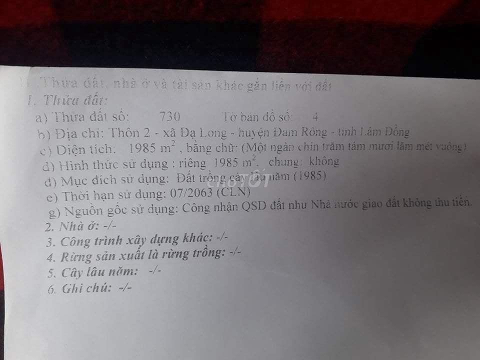BÁN ĐẤT TRỒNG CÂY ĐẠ LONG LÂM ĐỒNG CHÍNH CHỦ