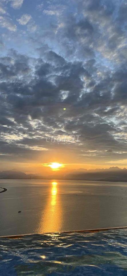 Đà Nẵng  Căn Hộ Cao Cấp view vịnh, hồ bơi vô cực