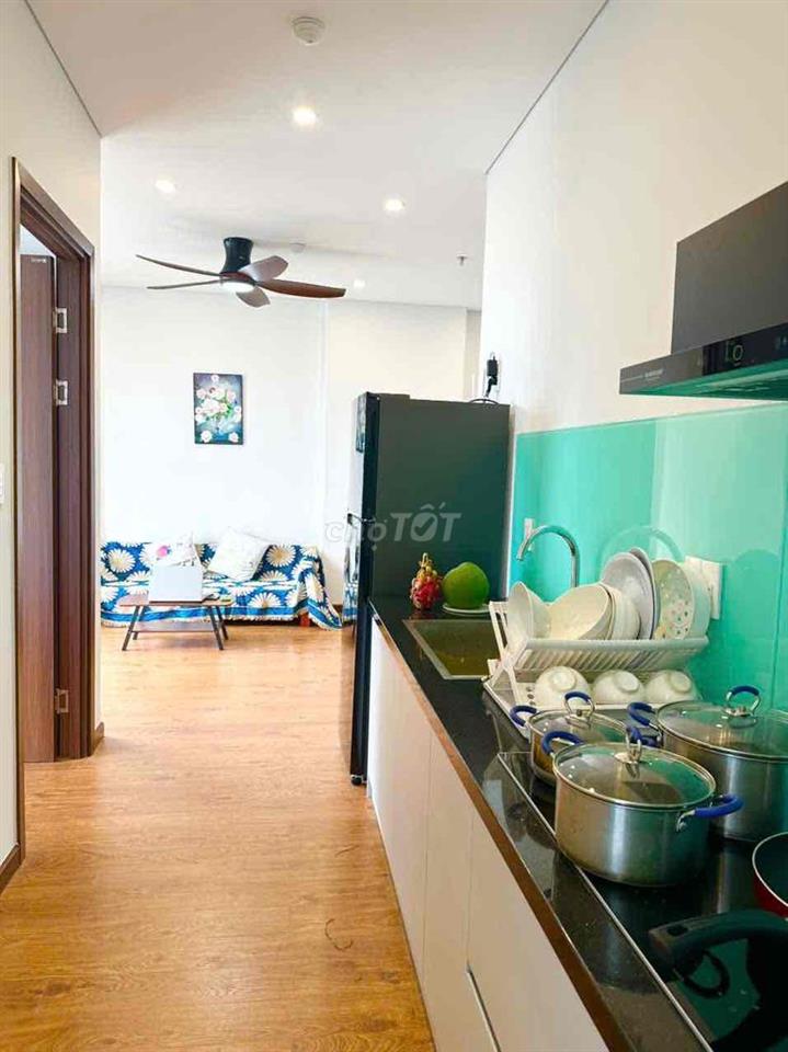 Cho Thuê Căn Hộ Cao Cấp MIA PLAZA LIÊN CHIỂU GIÁ TỪ 12-15tr