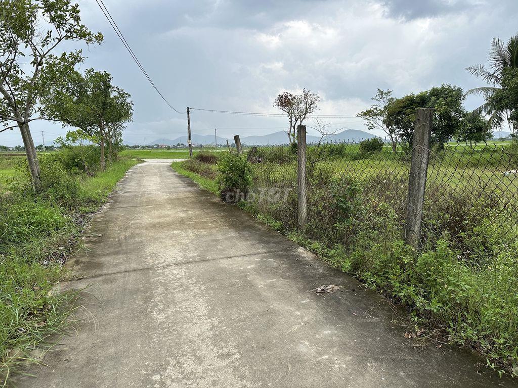 Đất thổ cư toàn bộ