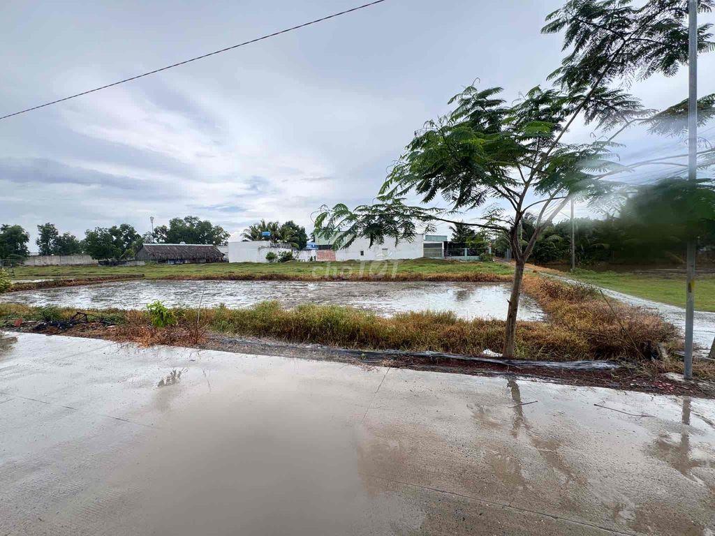 Bán Đất Trồng Cây Xã Đức Hoà Thượng, Long An