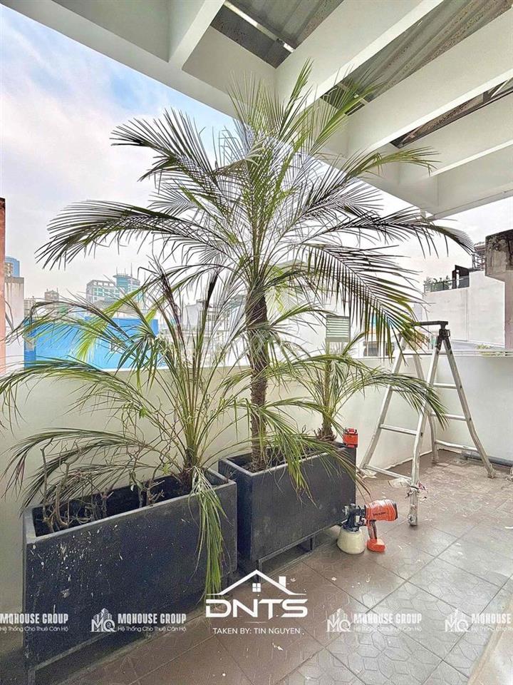 DỰ ÁN MỚI 100% ĐINH TIÊN HOÀNG GẦN CẦU BASON, LIM TOWER, HMC TOWER Q1