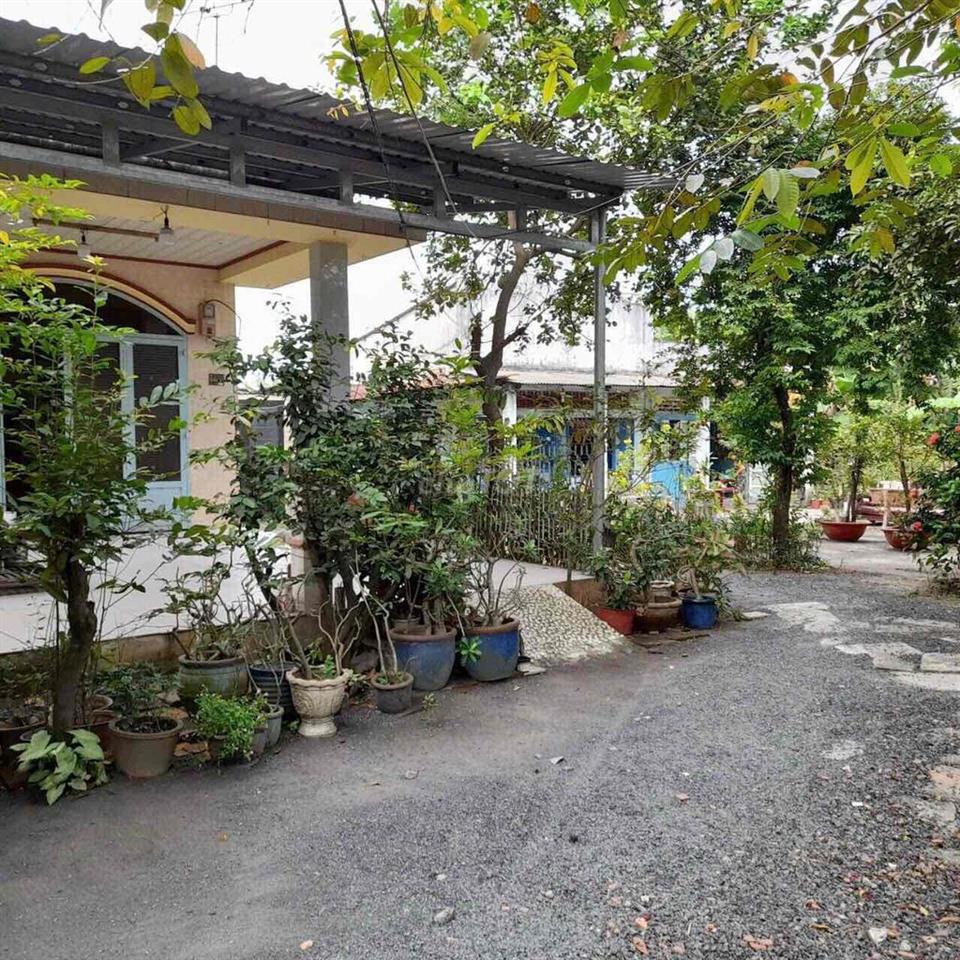 Đất thổ cư chính chủ cách ql22 100m cần bán