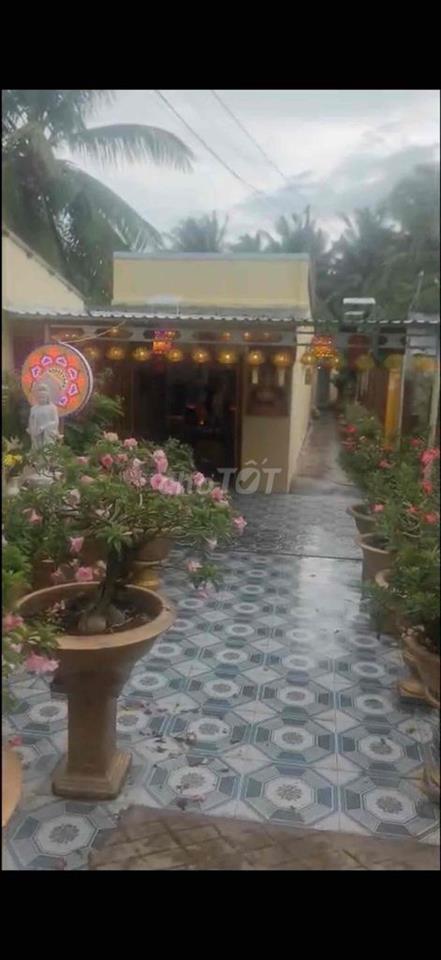 Cần Bán Gấp