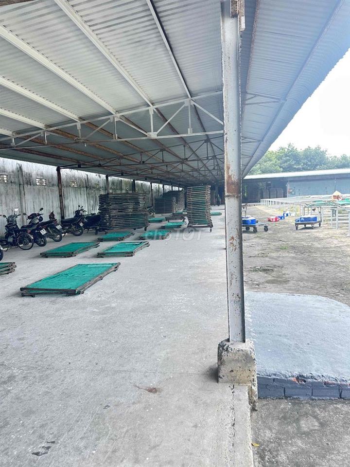 cho thuê lai nhà máy gia công sản xuất tại Bến Tre