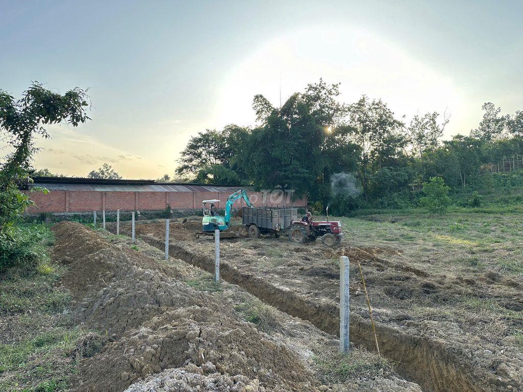 Chính chủ bán đất 250m²/lô có TC, mặt tiền nhựa, giá từ 350 triệu