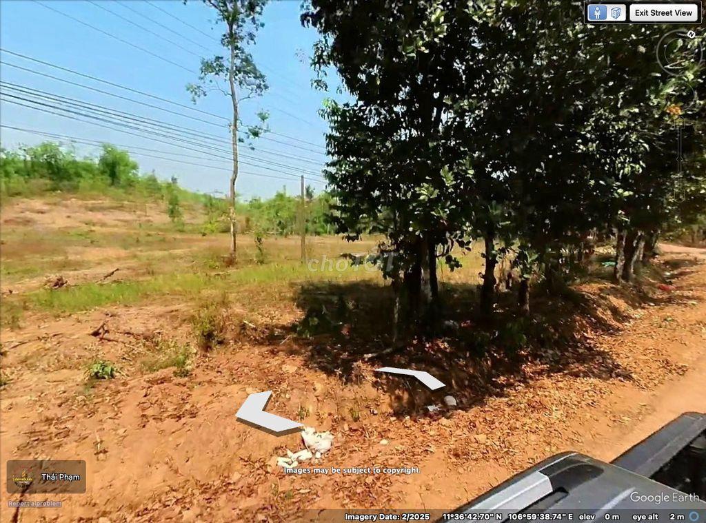 Chính chủ bán đất 250m²/lô có TC, mặt tiền nhựa, giá từ 350 triệu