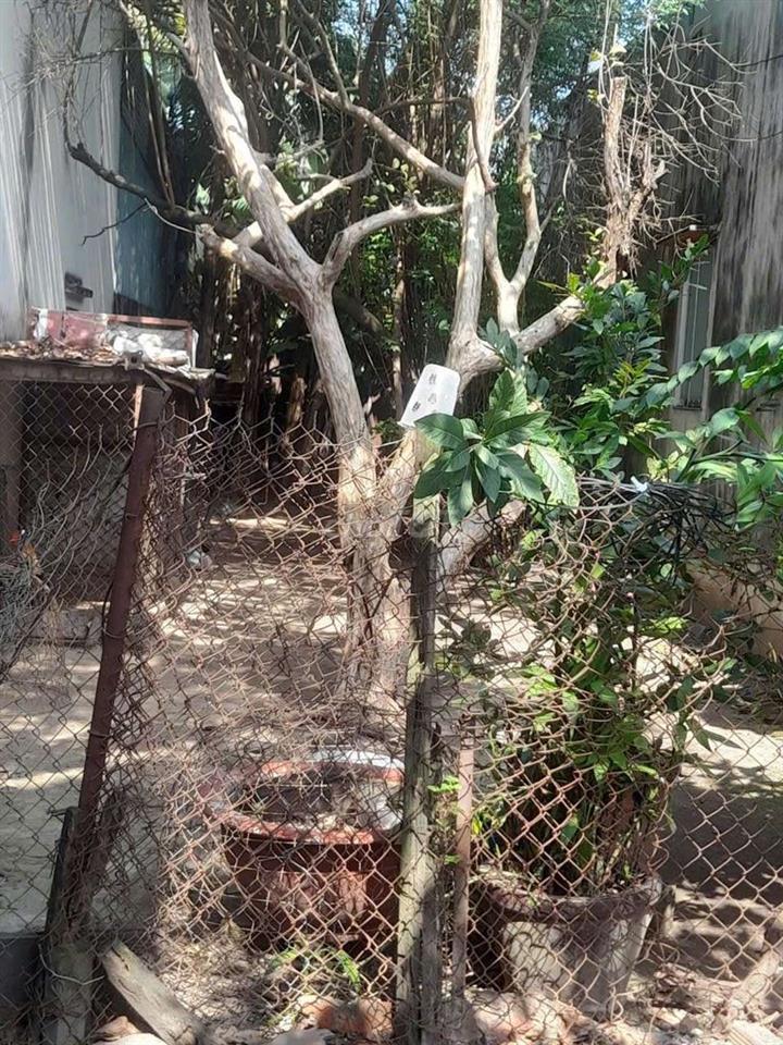 Đất thổ cư 5x24m, hẻm 4m xe hơi gần Nguyễn Văn Bứa ngay ngã tư Hóc Môn