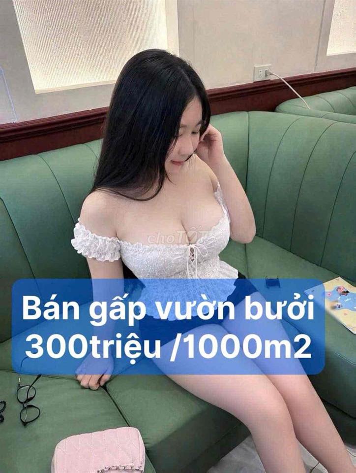 chủ cần bán gấp 1000m 2 vườn bưởi.
