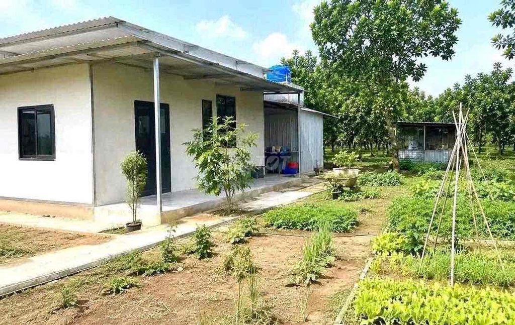 cần tiền bán gấp đất