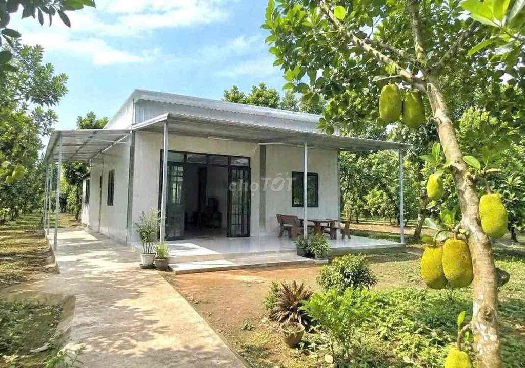 cần tiền bán gấp đất