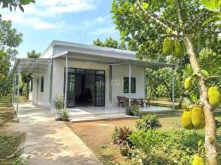 cần tiền bán gấp đất