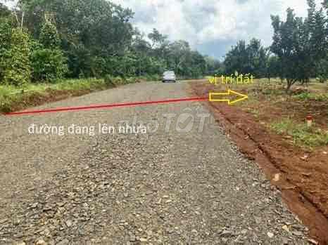 bán gấp nhà vườn 1000m2 có 100tc