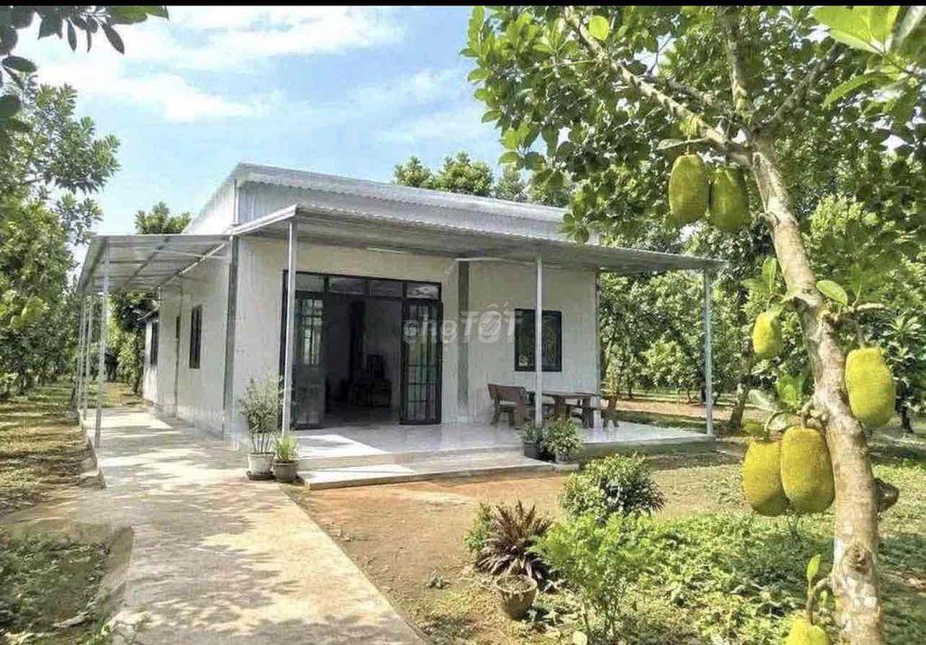 bán gấp nhà vườn 1000m2 có 100tc