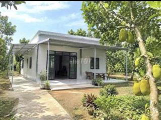 bán gấp nhà vườn 1000m2 có 100tc