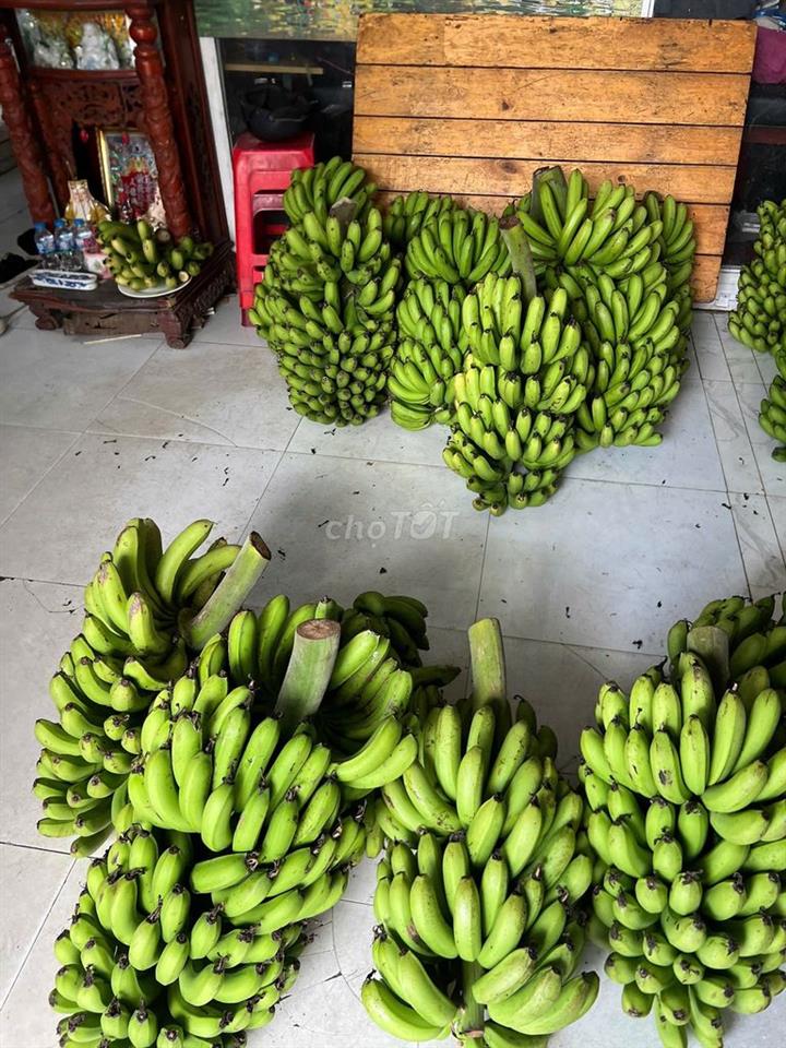 Mặt bằng cần cho thuê 