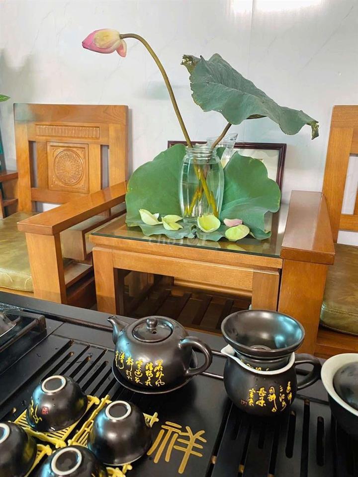 Bỏ Phố về quê