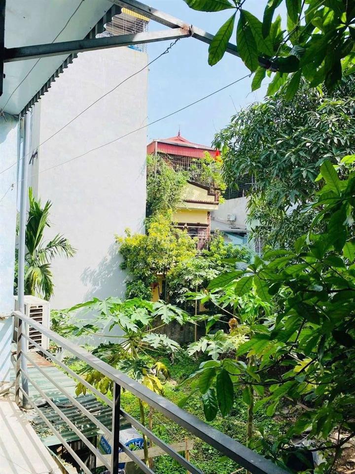 Bỏ Phố về quê