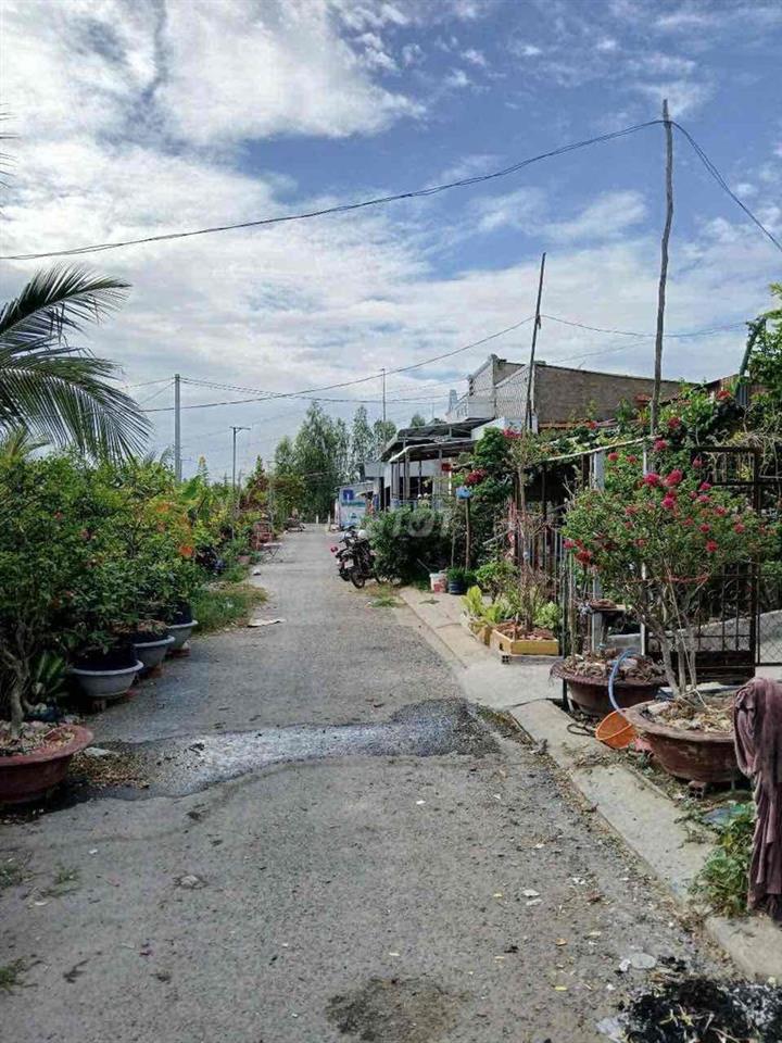 Đất nền bị ngộp