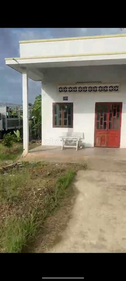 Bán đất
