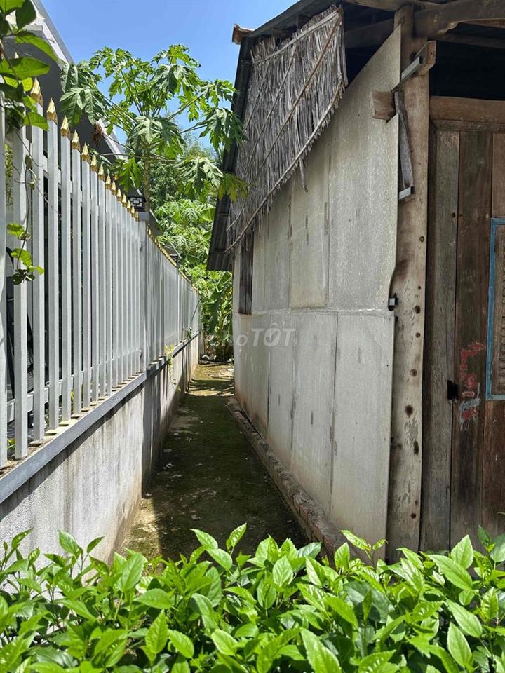 CHÍNH CHỦ BÁN GẤP ĐẤT PHƯỜNG PHÚ KHƯƠNG - 170m2 CÓ THỔ CƯ