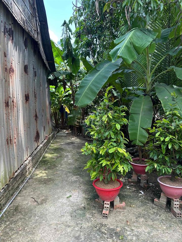 CHÍNH CHỦ BÁN GẤP ĐẤT PHƯỜNG PHÚ KHƯƠNG - 170m2 CÓ THỔ CƯ