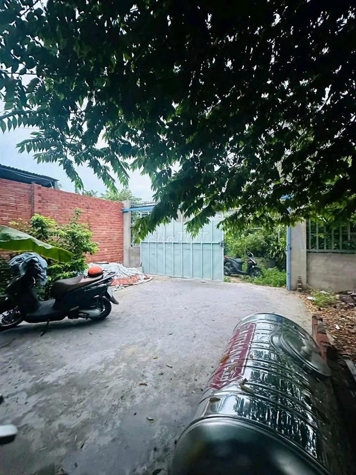 CHO THUÊ NHÀ VƯỜN CẤP 4 MỚI (CHÍNH CHỦ)