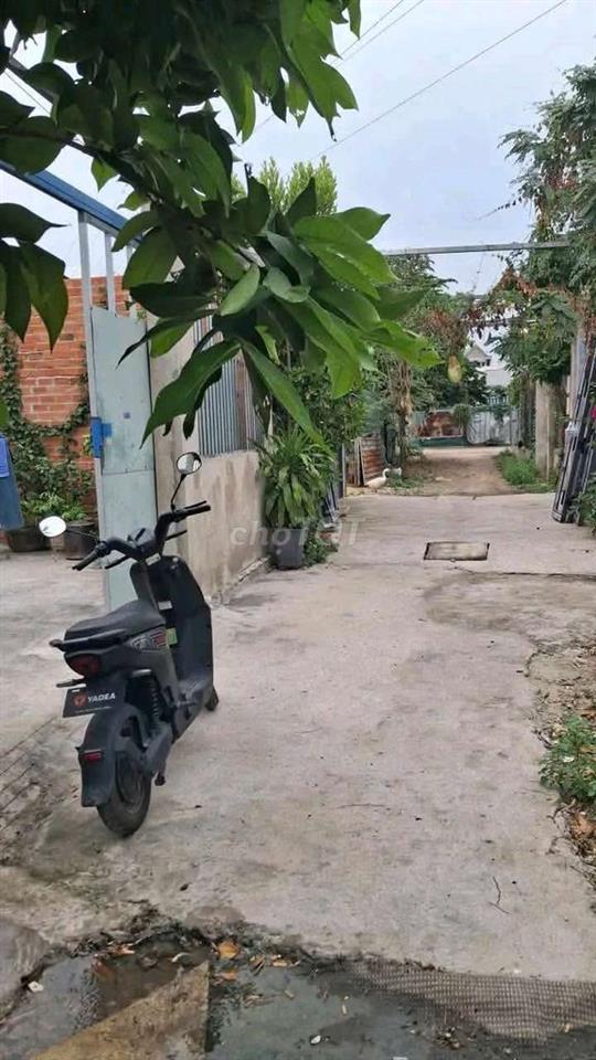CHO THUÊ NHÀ VƯỜN CẤP 4 MỚI (CHÍNH CHỦ)