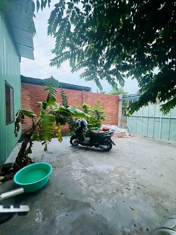 CHO THUÊ NHÀ VƯỜN CẤP 4 MỚI (CHÍNH CHỦ)
